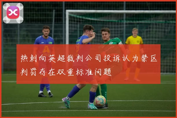 热刺向英超裁判公司投诉认为禁区判罚存在双重标准问题