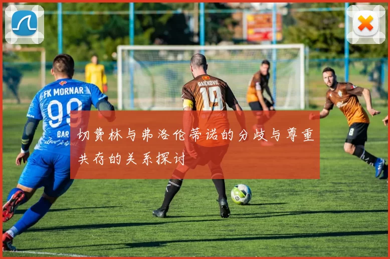 切费林与弗洛伦蒂诺的分歧与尊重共存的关系探讨