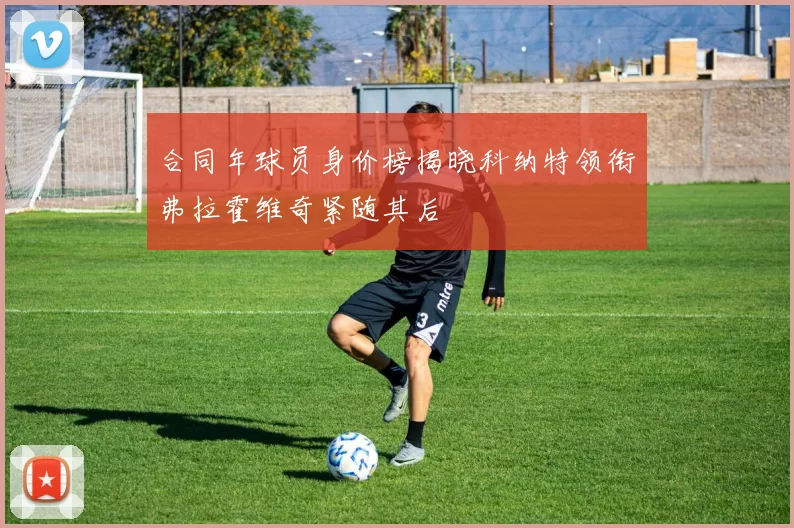 合同年球员身价榜揭晓科纳特领衔弗拉霍维奇紧随其后